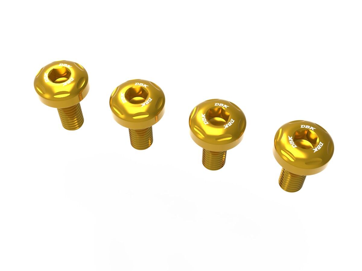 DBK Panigale V4 My 2025 Heel Guards Screws Kit