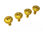 DBK Panigale V4 My 2025 Front Fender Screws Kit