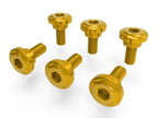 DBK MTSV4 Front Fender Screw Kit