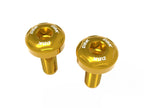 DBK Ducati Panigale V2 2025 Radiator Grille Screws Kit