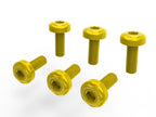 DBK SFV2 Radiator Frame Screws Kit