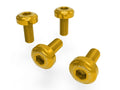 DBK MTSV4 Pikes Peak Air Conveyors Screw Kit