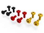 DBK MTSV4 Pikes Peak Air Conveyors Screw Kit