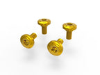 DBK Scrambler Forks Prot. Screw Kit