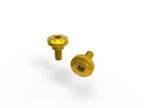 DBK Scrambler Chain Guard Screw Kit