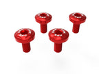 DBK Front Fender Screw Kit