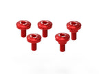 DBK Rear Fender Screw Kit