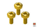 DBK Moto Morini Swingarm Screw Kit