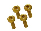 DBK Hm 698 Upper Exhaust Cover Screw Kit