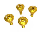 DBK Hm 698 Frame Panels Screw Kit