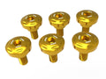 DBK Hm 698 Front Fork Covers Screws Kit