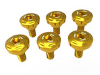 DBK Hm 698 Front Fork Covers Screws Kit