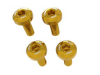 DBK BMW R1300GS Adventure Trim Frame Triangle Screws Kit