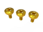 DBK Panigale V4 My 2025 Rear Hugger Screws Kit