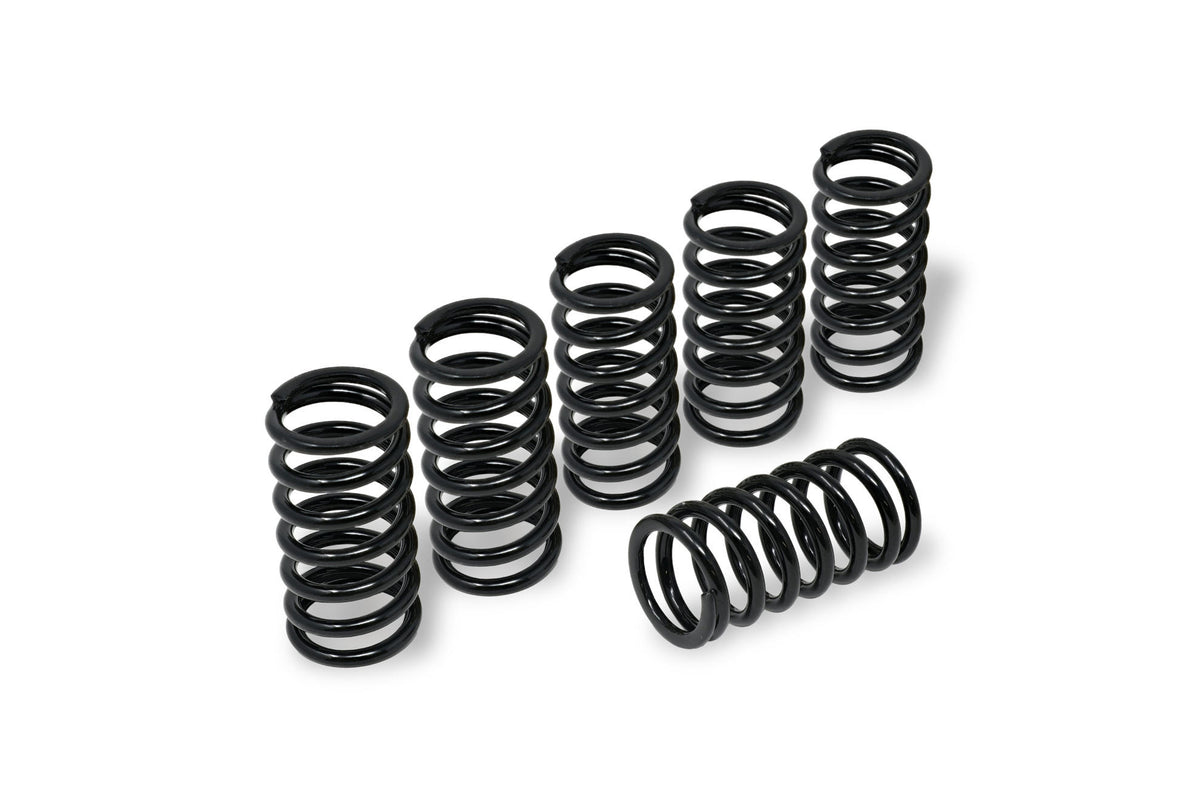CNC Racing Clutch Springs H40 for Ducati