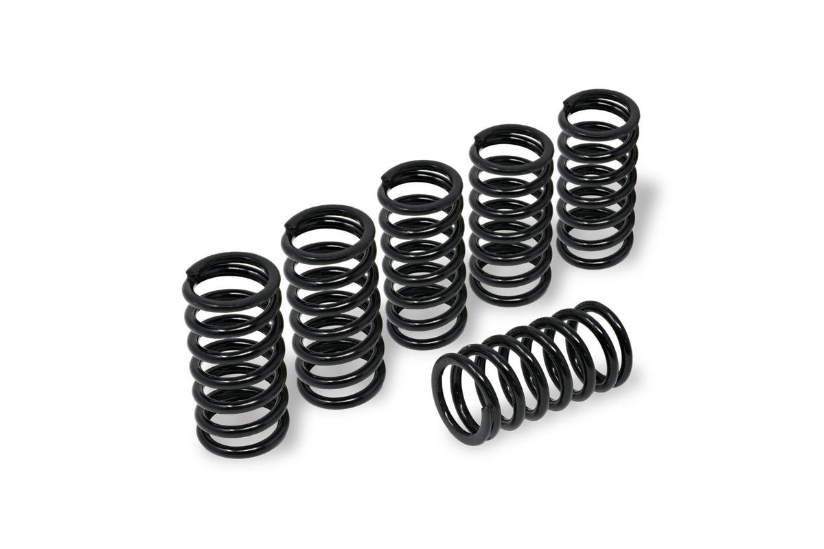 CNC Racing Clutch Springs H45 for BMW