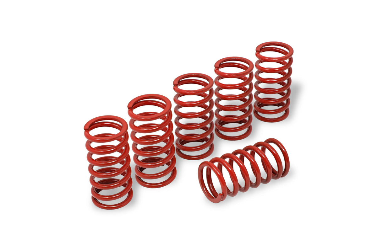 CNC Racing Clutch Springs H45 for BMW
