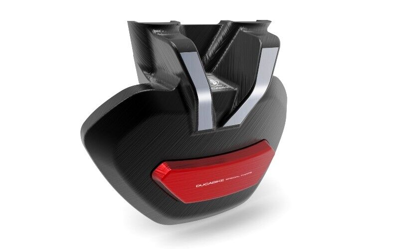 DBK Xdiavel Swingarm Protection