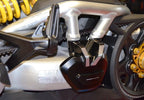 DBK Xdiavel Swingarm Protection