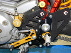 DBK Carbon Guards