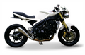 HP Corse Hydroform Satin Exhaust for Triumph Speed Triple 2005-2006 - HP Corse