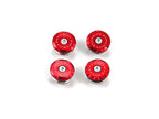 DBK Frame Plugs 899 / 1199 Panigale