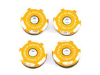 DBK Frame Plugs 959 / 1299 Panigale Bicolor