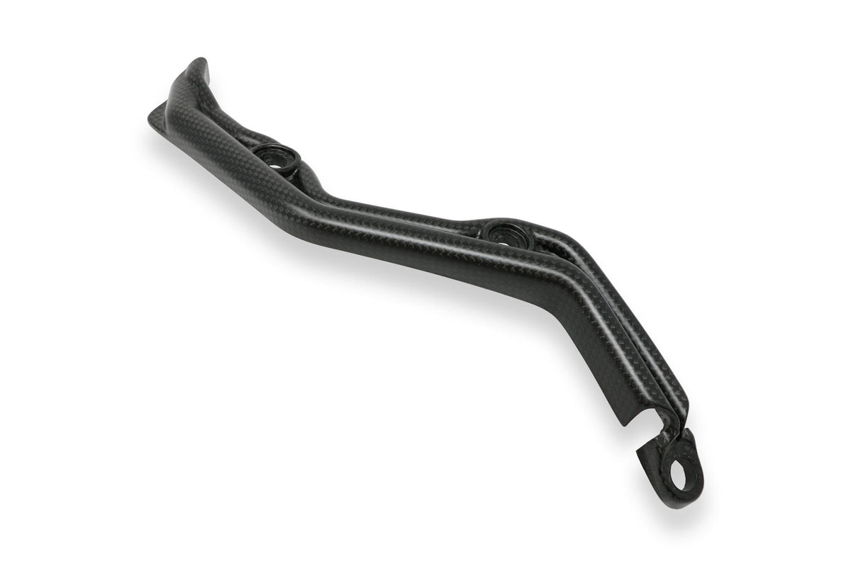 CNC Racing Swingarm Wire Cover for Ducati Panigale – Matt Carbon - CNC Racing