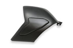 CNC Racing Swingarm Cover for Ducati Panigale V4 – Carbon - CNC Racing