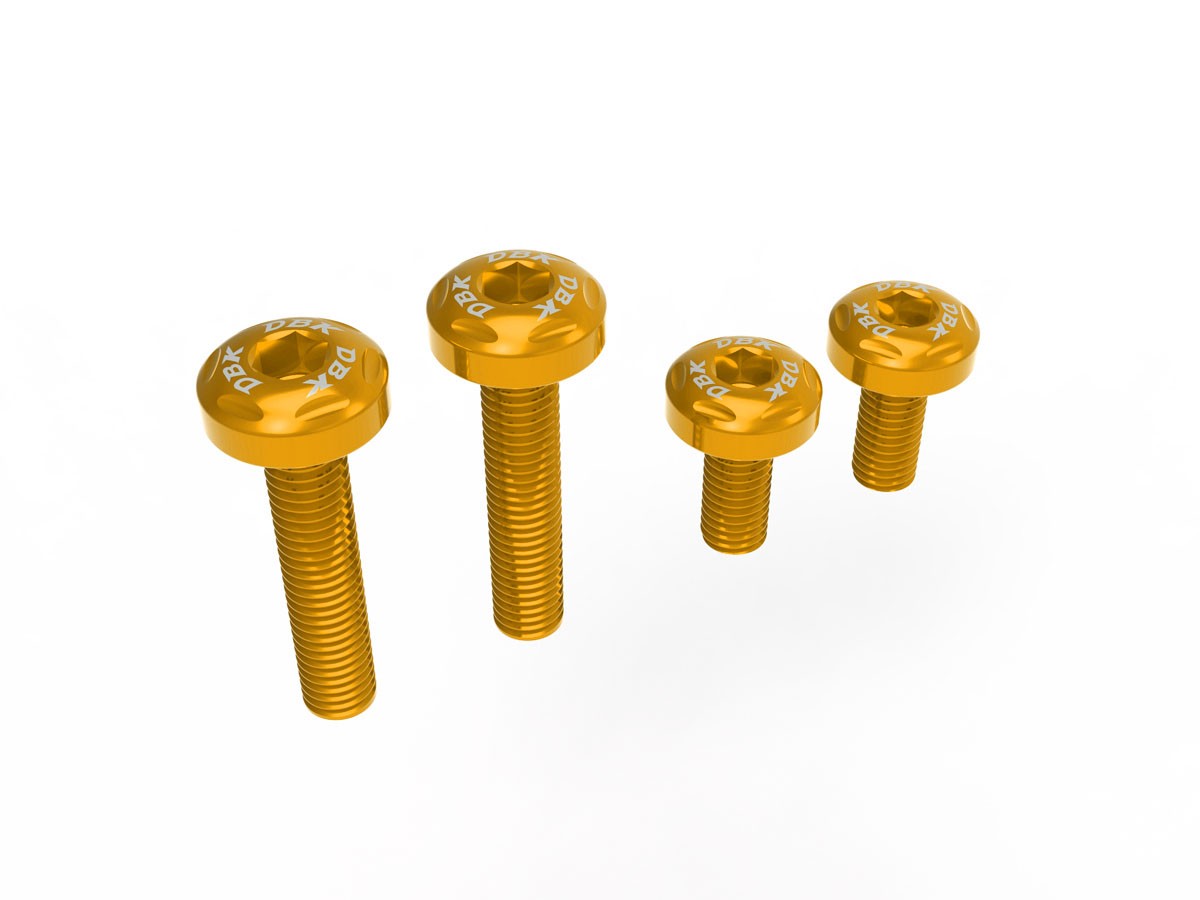 DBK Ducati Streetfighter/Panigale V2 2025 Under-Tail Screw Kit