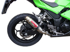 GPR exhaust Kawasaki Ninja 300 R  2012-2017, Deeptone Inox, Homologated legal slip-on exhaust including removable db killer and link pipe - GPR Exhausts